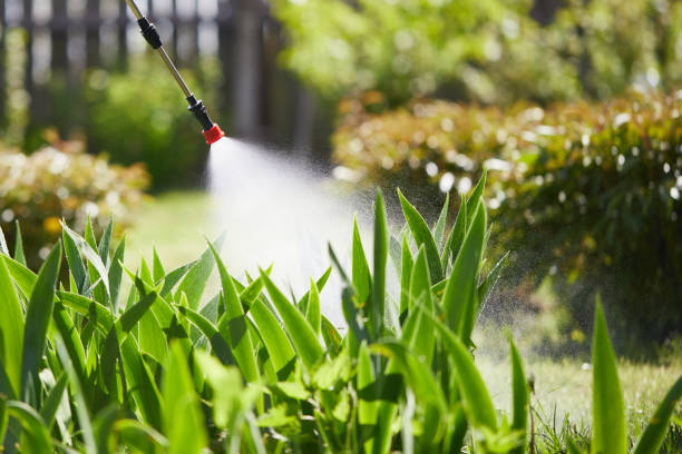 24/7 Emergency Ant Control experts in Quincy, FL