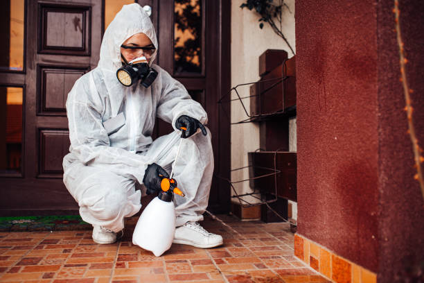 Reliable Ant Control contractor in Quincy, FL by Nex Pest Control